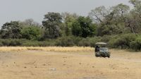 Namibia - Pirschfahrt im Buffalo Park