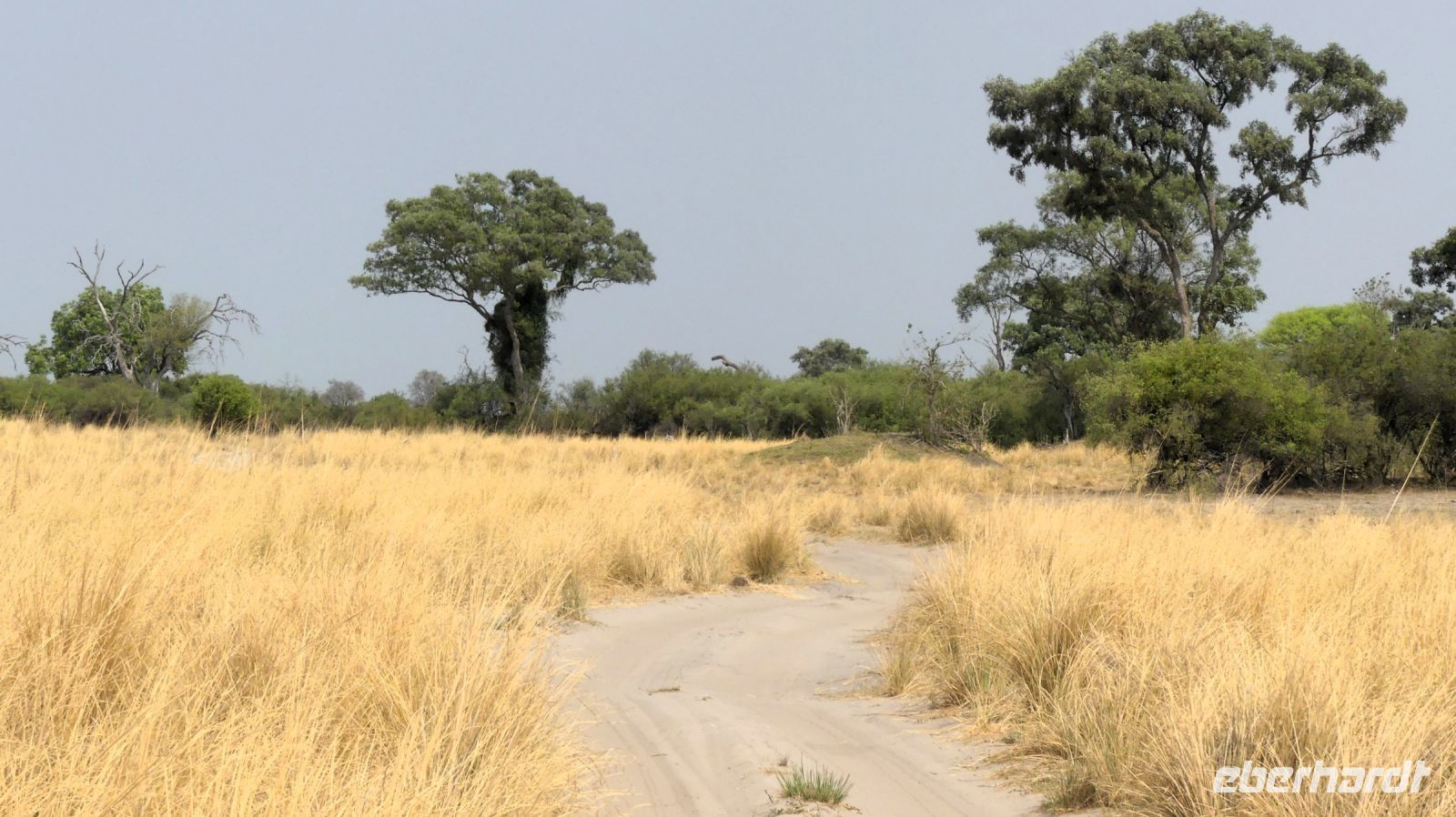 Namibia - Pirschfahrt im Buffalo Park