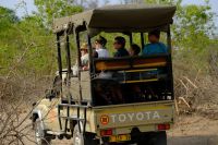 Namibia - Pirschfahrt im Buffalo Park