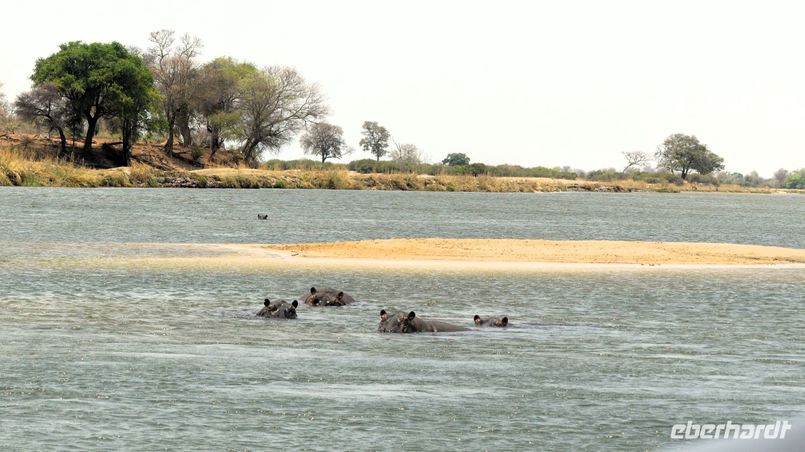 Namibia - Bootsfahrt Okavango