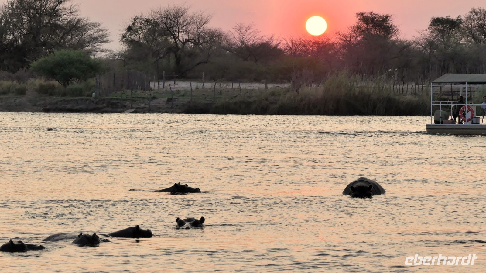 Namibia - Bootsfahrt Okavango - Sonnenuntergang