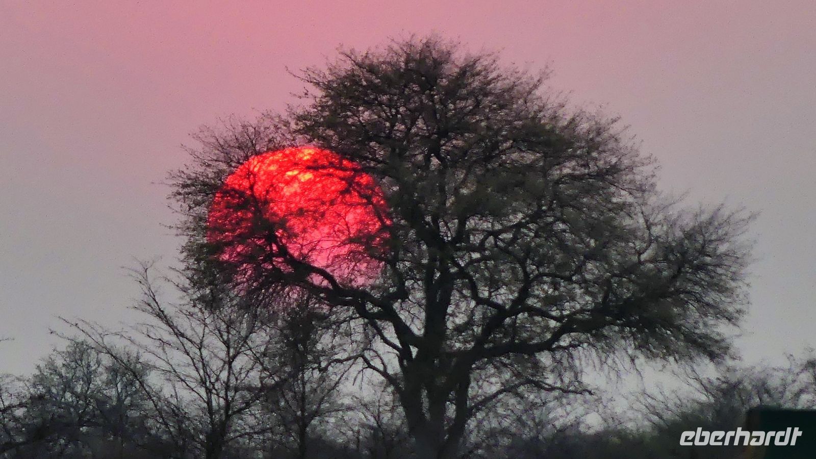 Namibia - Namushasha Lodge am Kwando - Sonnenuntergang