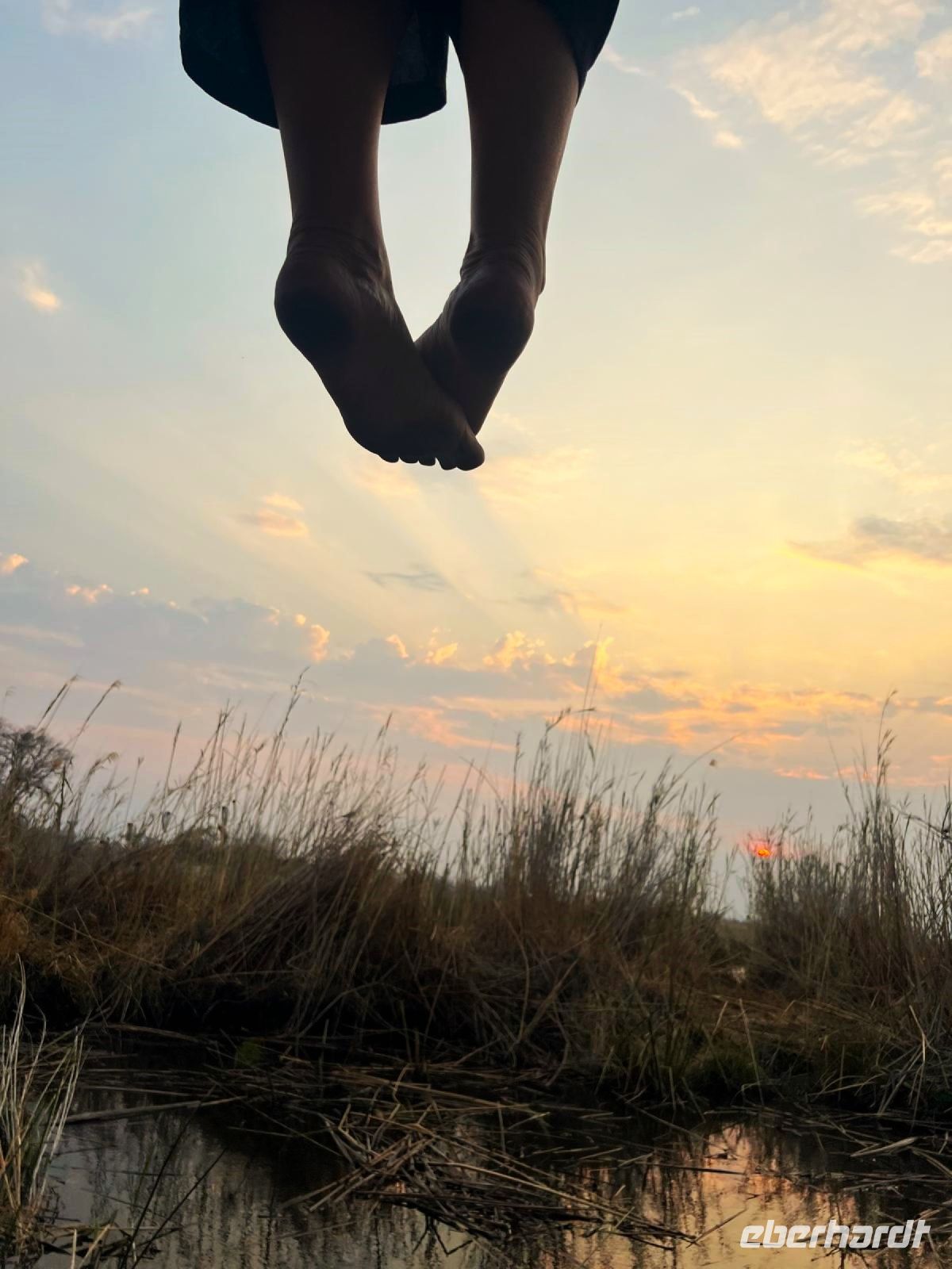 Seele baumeln lassen