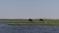 Botswana - Bootsfahrt auf dem Chobe
