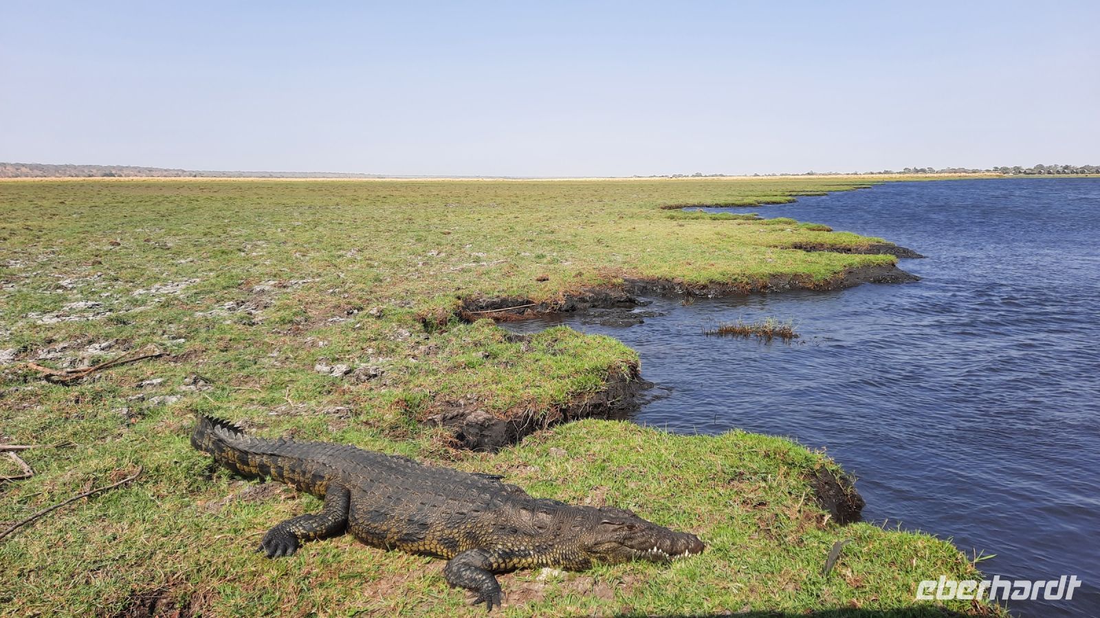 Botswana - Bootsfahrt auf dem Chobe