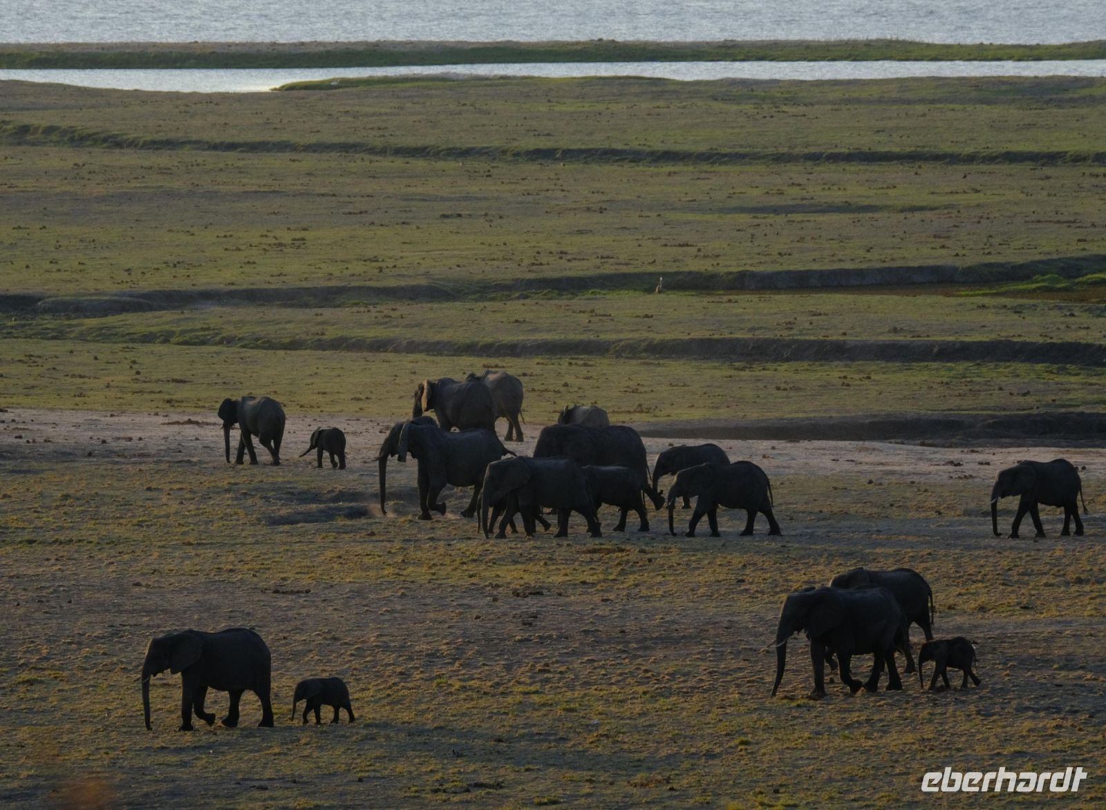 Botswana - Pirschfahrt im Chobe - Abendstimmung - Foto von Guide Joe