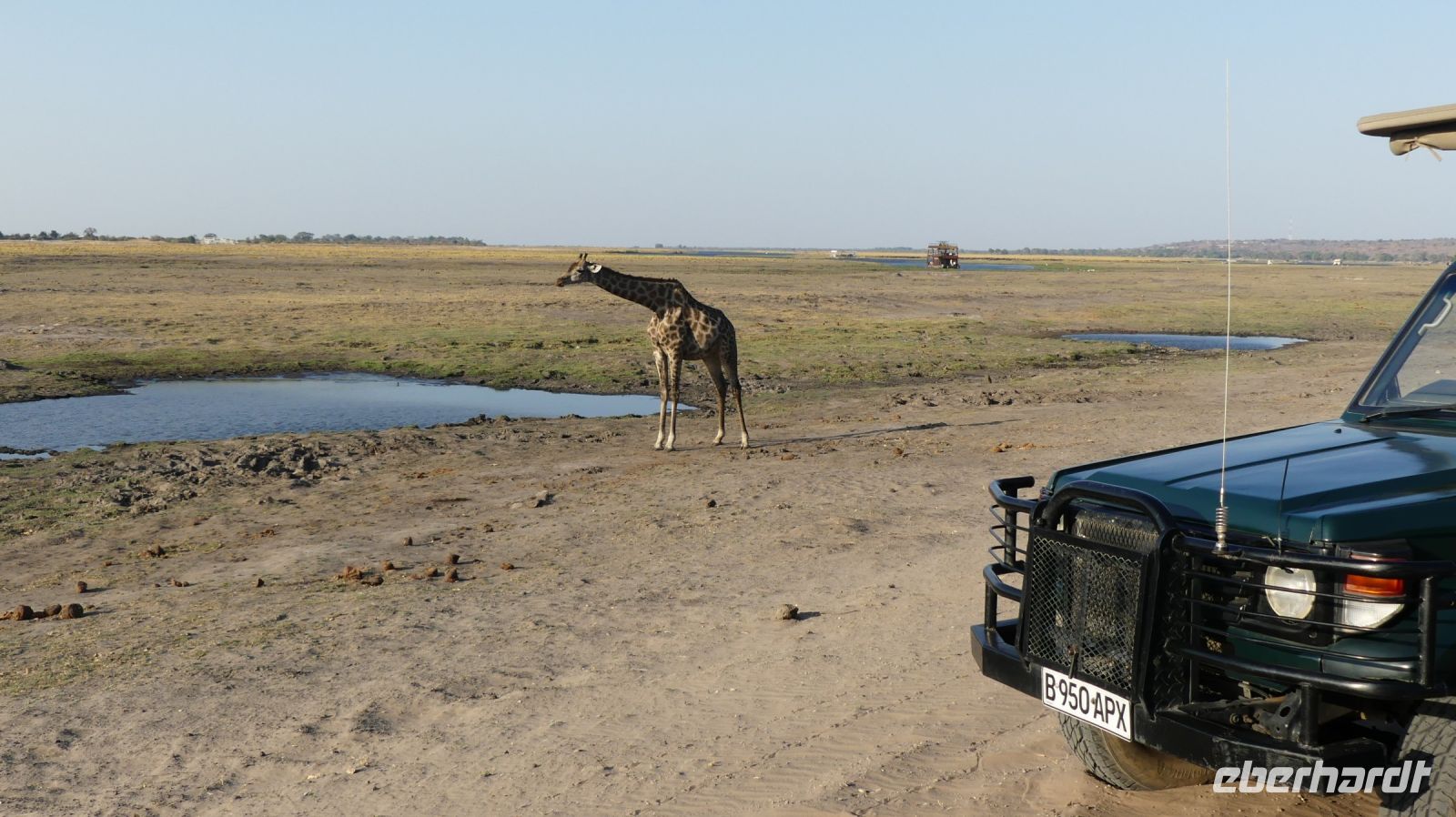 Botswana - Pirschfahrt im Chobe