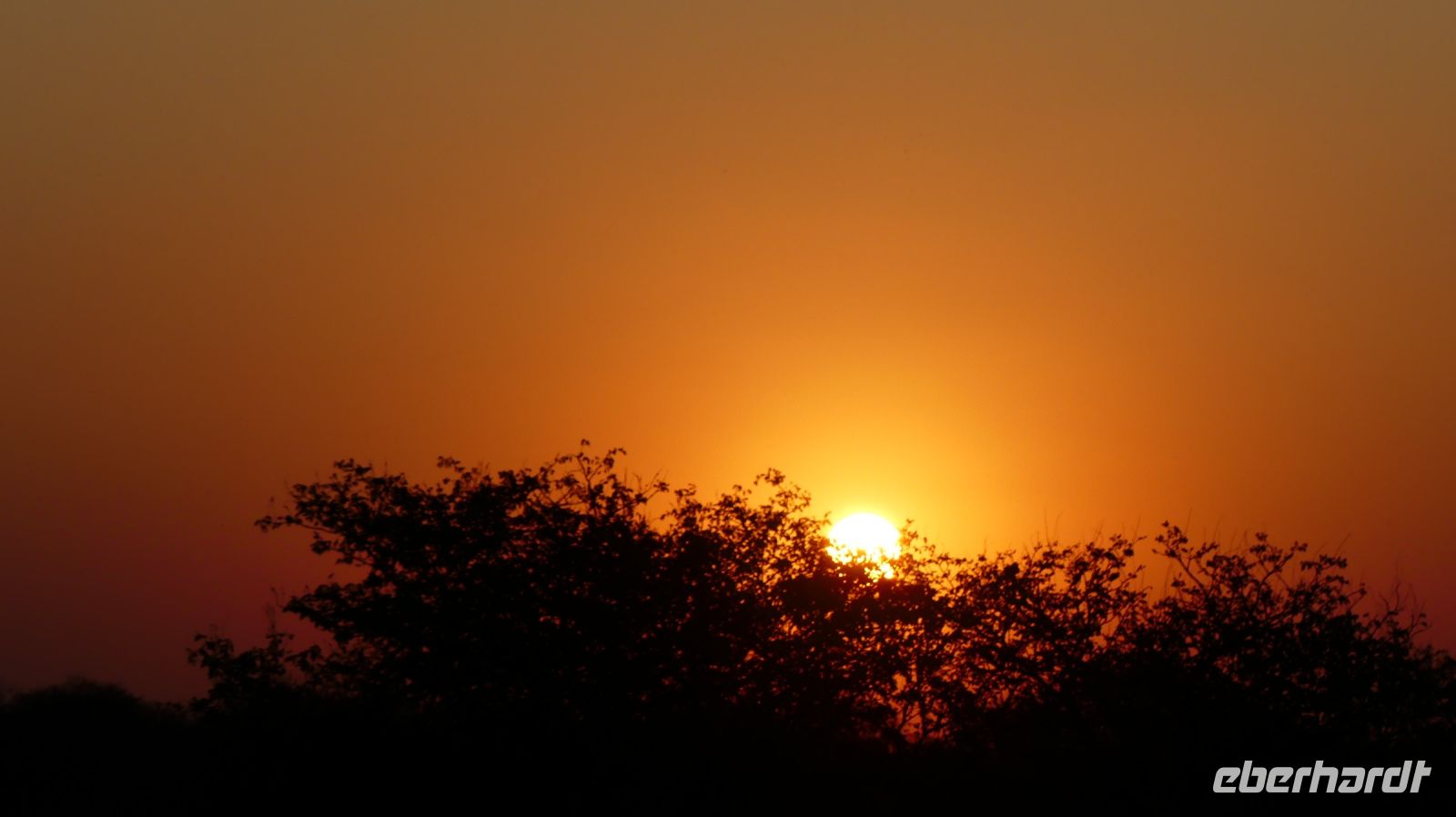 Botswana - Pirschfahrt im Chobe - Sonnenuntergang