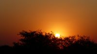 Botswana - Pirschfahrt im Chobe - Sonnenuntergang
