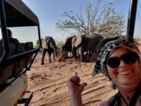 Botswana - Pirschfahrt im Chobe - mittendrin