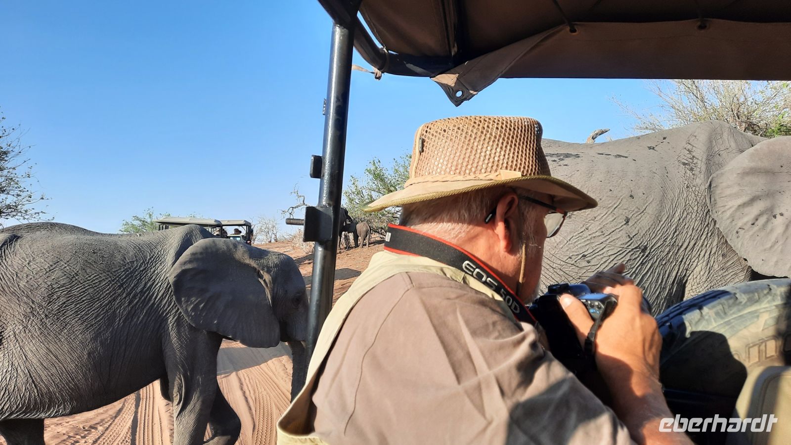 Botswana - Pirschfahrt im Chobe - mittendrin