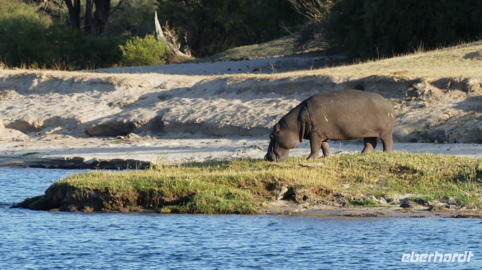 Simbabwe - Bootsfahrt auf dem Sambesi