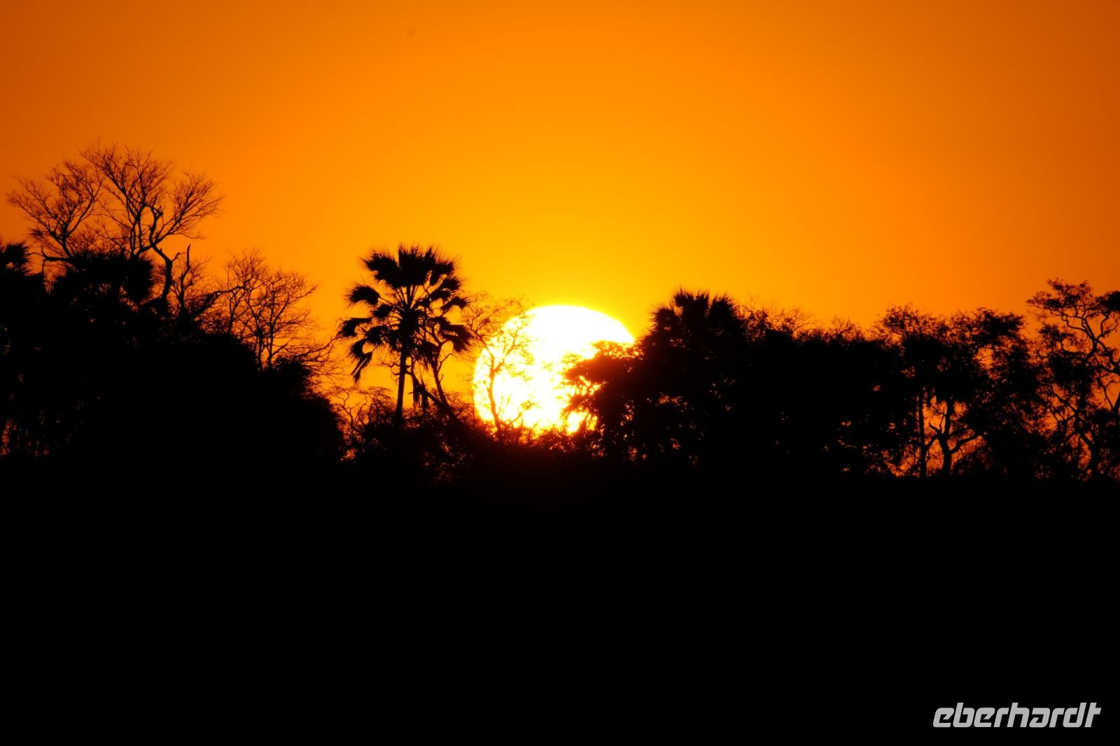 Simbabwe - Bootsfahrt auf dem Sambesi - Sonnenuntergang