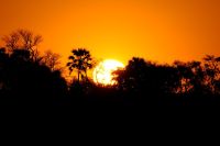 Simbabwe - Bootsfahrt auf dem Sambesi - Sonnenuntergang