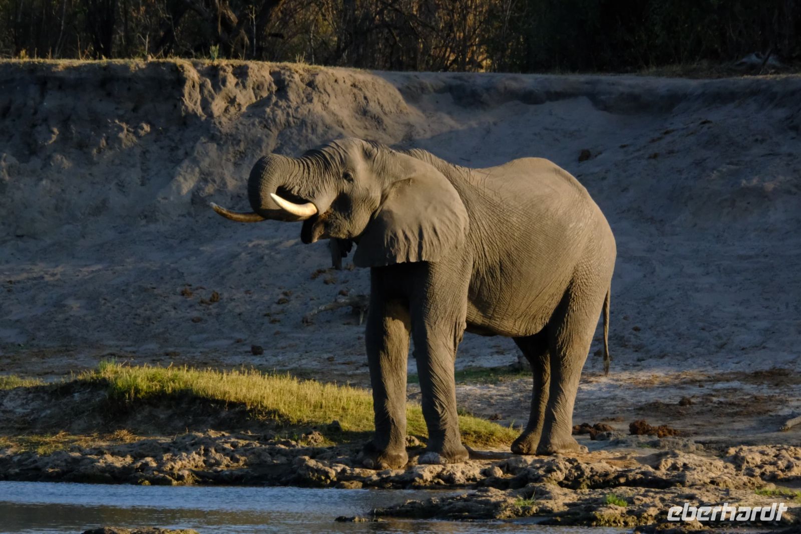 Simbabwe - Bootsfahrt auf dem Sambesi - Foto von Guide Joe