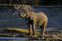 Simbabwe - Bootsfahrt auf dem Sambesi - Foto von Guide Joe