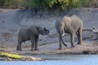 Simbabwe - Bootsfahrt auf dem Sambesi