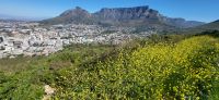 09 Blick auf Kapstadt mit Tafelberg