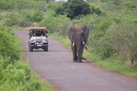 192 unglaubliche Begegnung