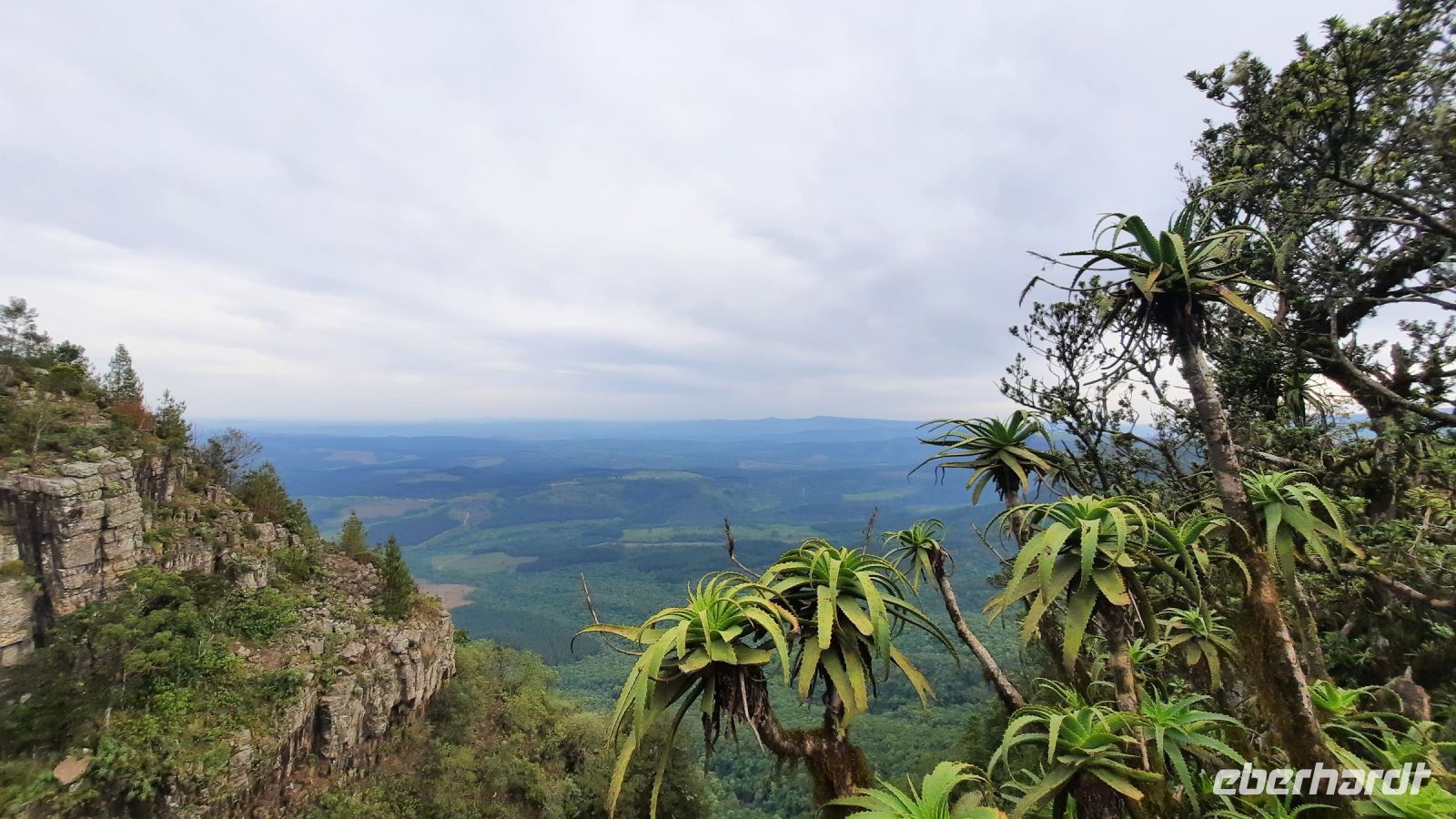 Südafrika - Panorama Route - God`s Window