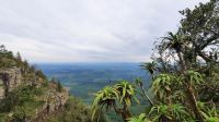 Südafrika - Panorama Route - God`s Window