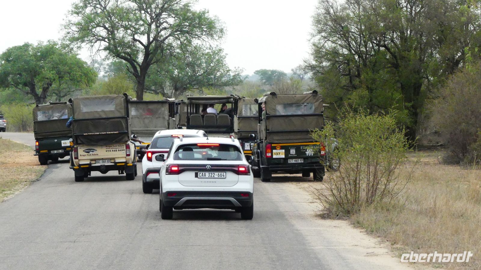 Südafrika - Kruger Nationalpark - Pirschfahrt