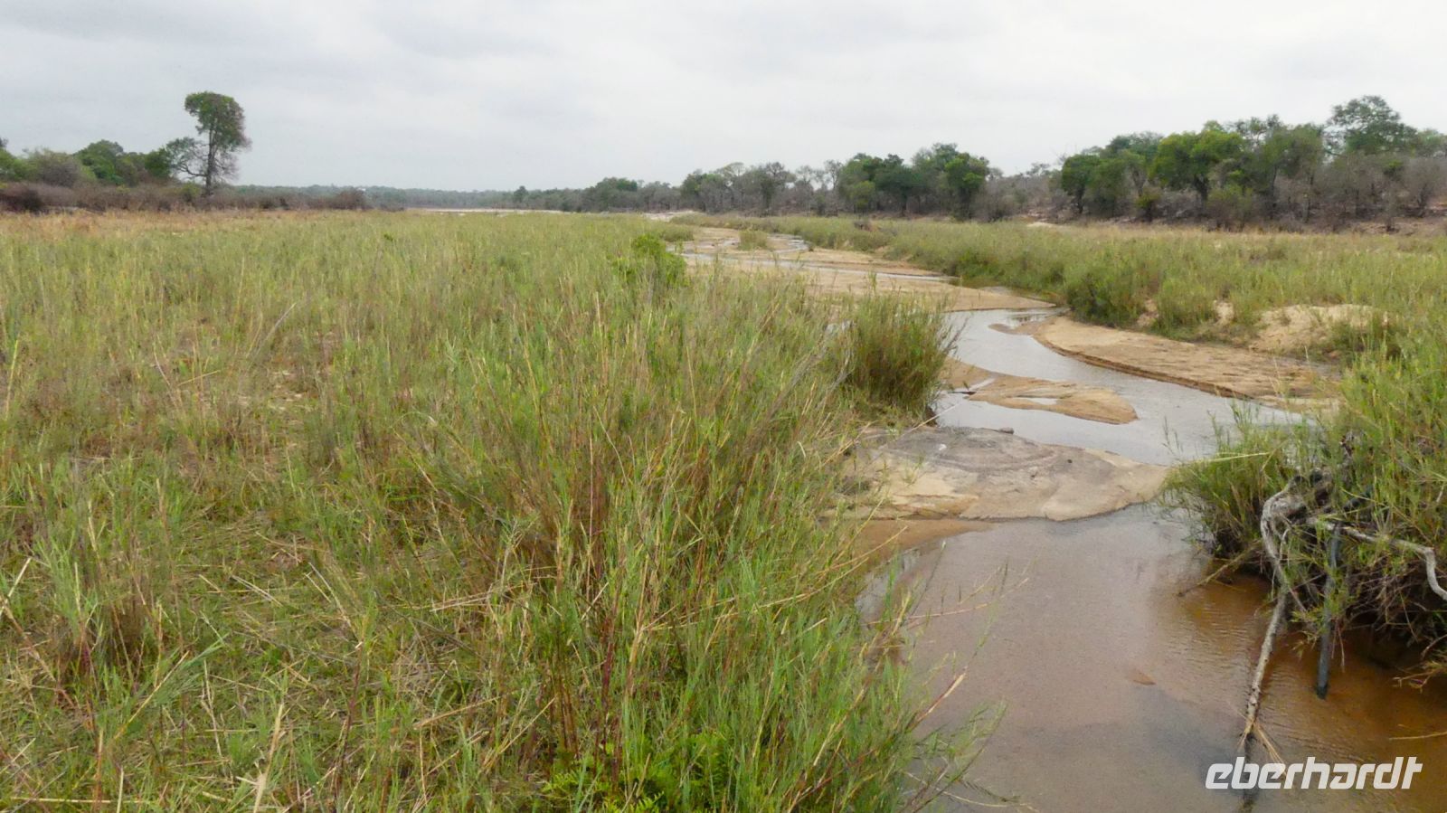 Südafrika - Kruger Nationalpark 