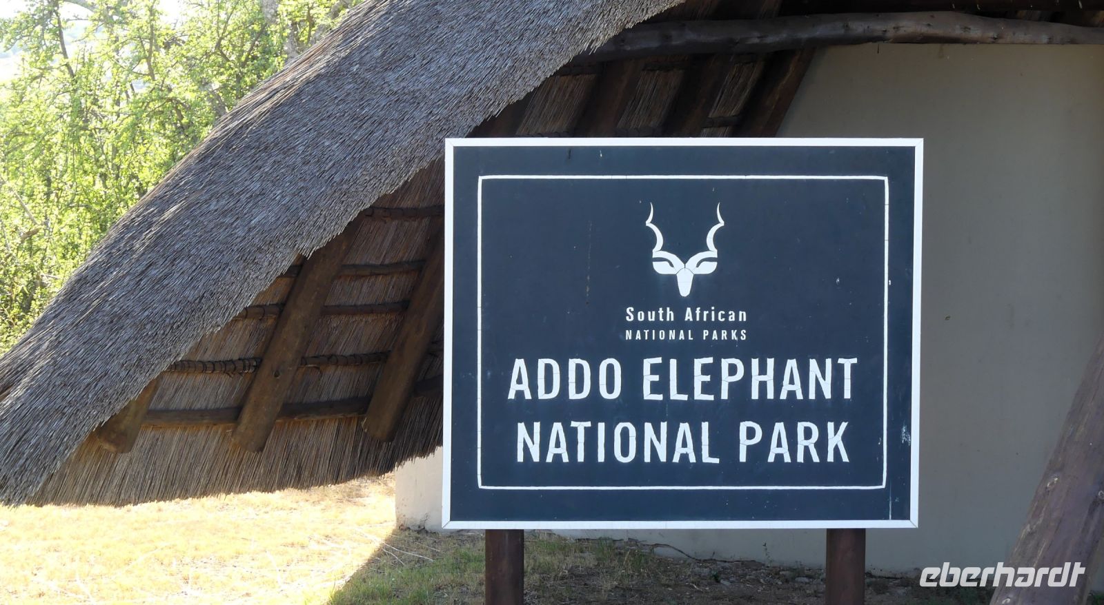 Südafrika - Pirschfahrt im Addo Elephant Park
