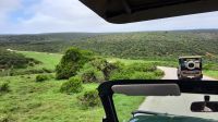Südafrika - Pirschfahrt im Addo Elephant Park