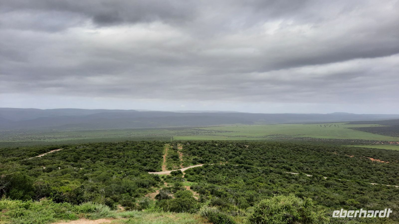 Südafrika - Pirschfahrt im Addo Elephant Park