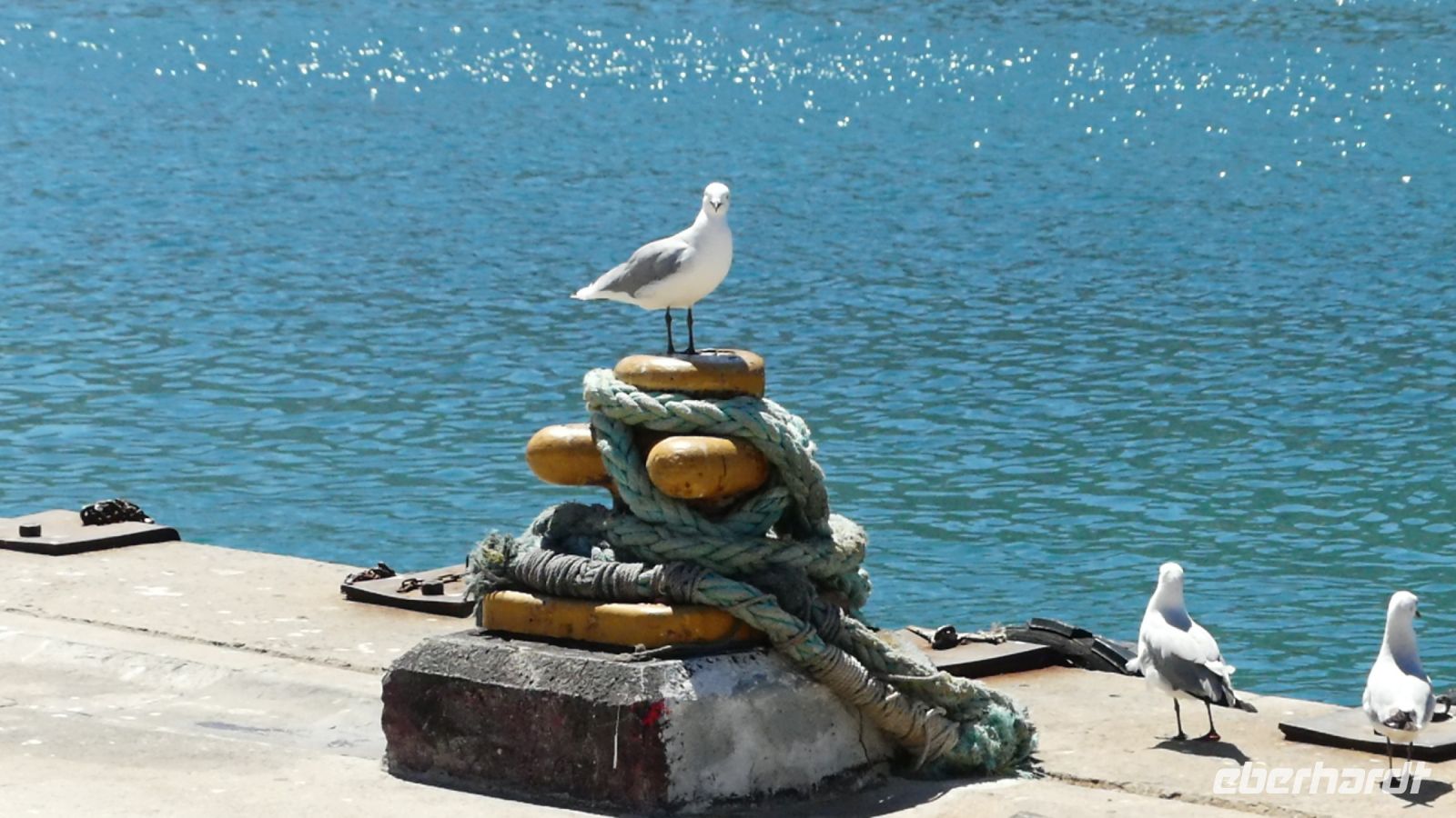 Südafrika - Boxenstopp in Hout Bay