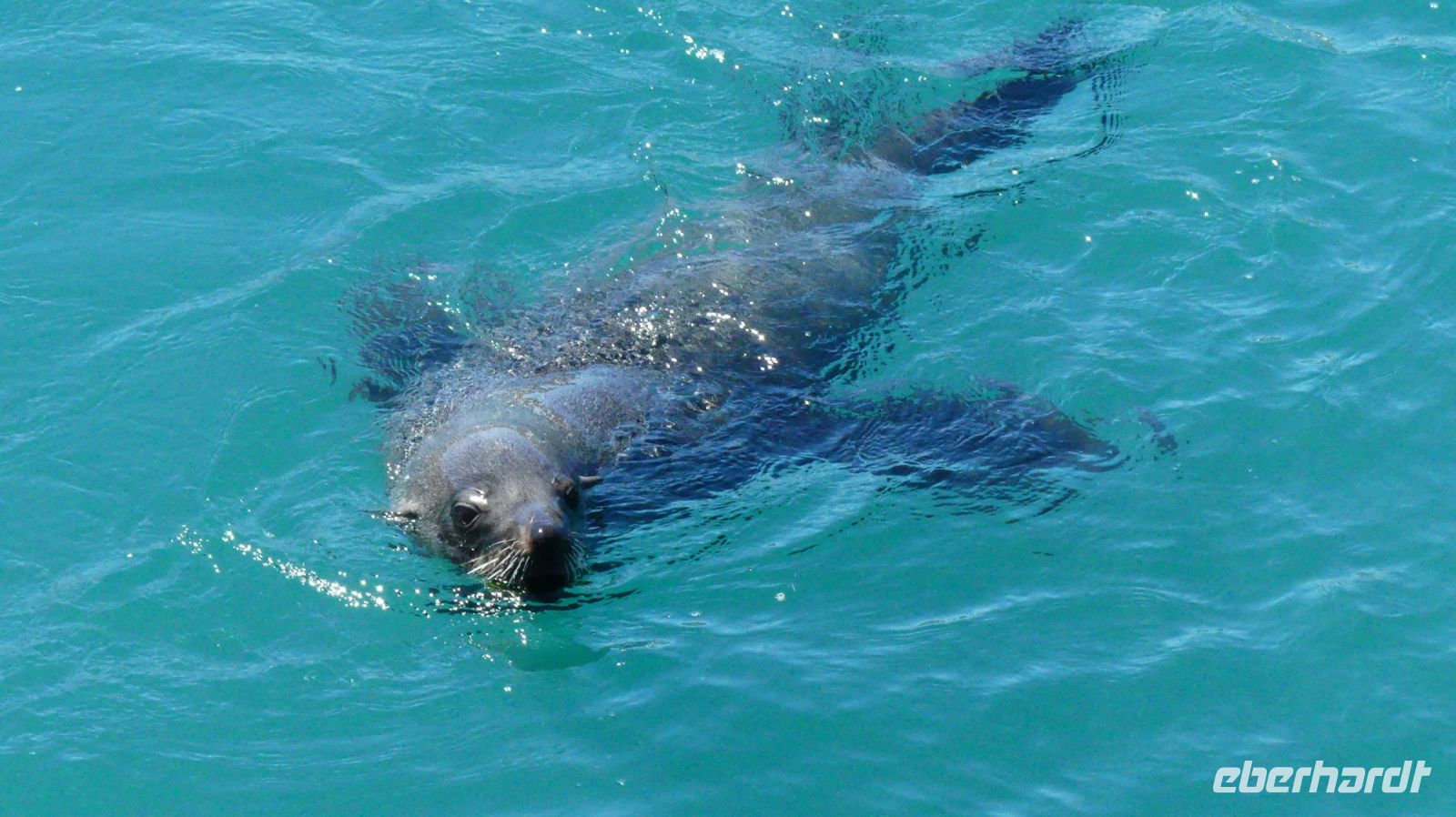 Südafrika - Boxenstopp in Hout Bay