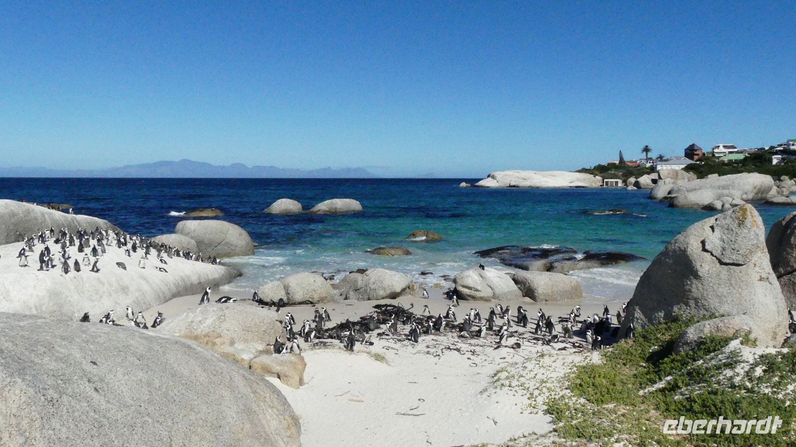 Südafrika - Simon`s Town - Boulders Beach