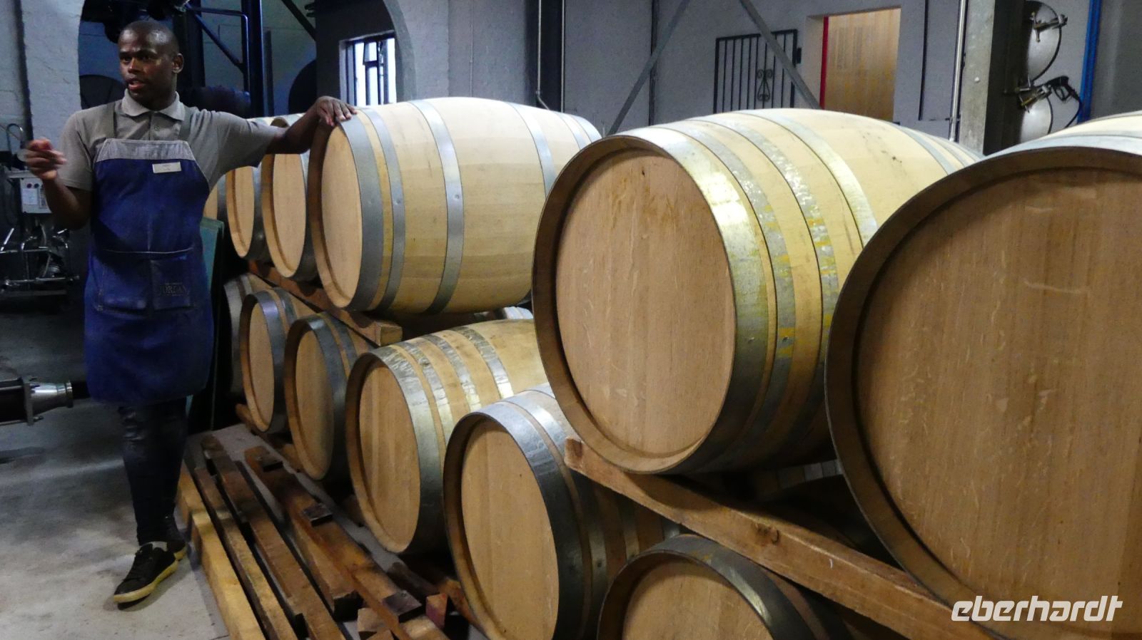 Südafrika - Stellenbosch - Weingut Jordan - Kellerführung