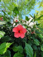 Südafrika - Stellenbosch