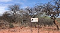 Namibia - Wanderung am Mount Etjo