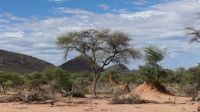 Namibia - Pirschfahrt im Okonjati-Wildreservat