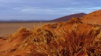 Namibia - Namib Wüste