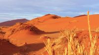 Namibia - Namib Wüste