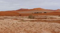 Namibia -  ein Tag in der Namib Wüste
