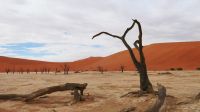 Namibia - Namib Wüste - Dead Vlei