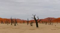 Namibia - Namib Wüste - Dead Vlei