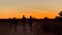 Namibia - Frühaufsteher Wandergruppe in der Kalahari