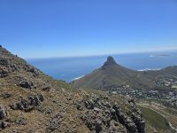 Eindrücke vom Tafelberg (8)