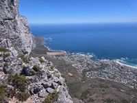 Eindrücke vom Tafelberg (12)