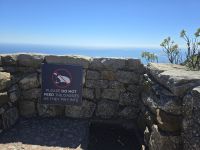 Eindrücke vom Tafelberg (20)