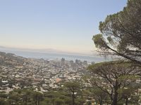 Erste Kapstadt Impressionen (1)