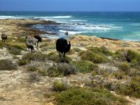 Cape National Park