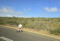 Schildkröten retter Julian