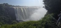 Die Victoria Fälle NP (26)